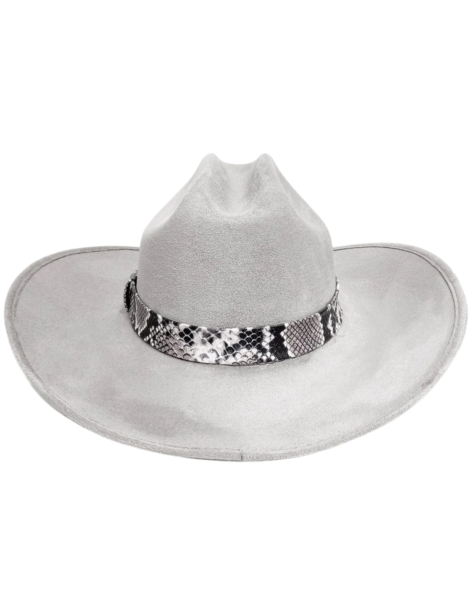 Alpine Rattle Cowboy in Fog
